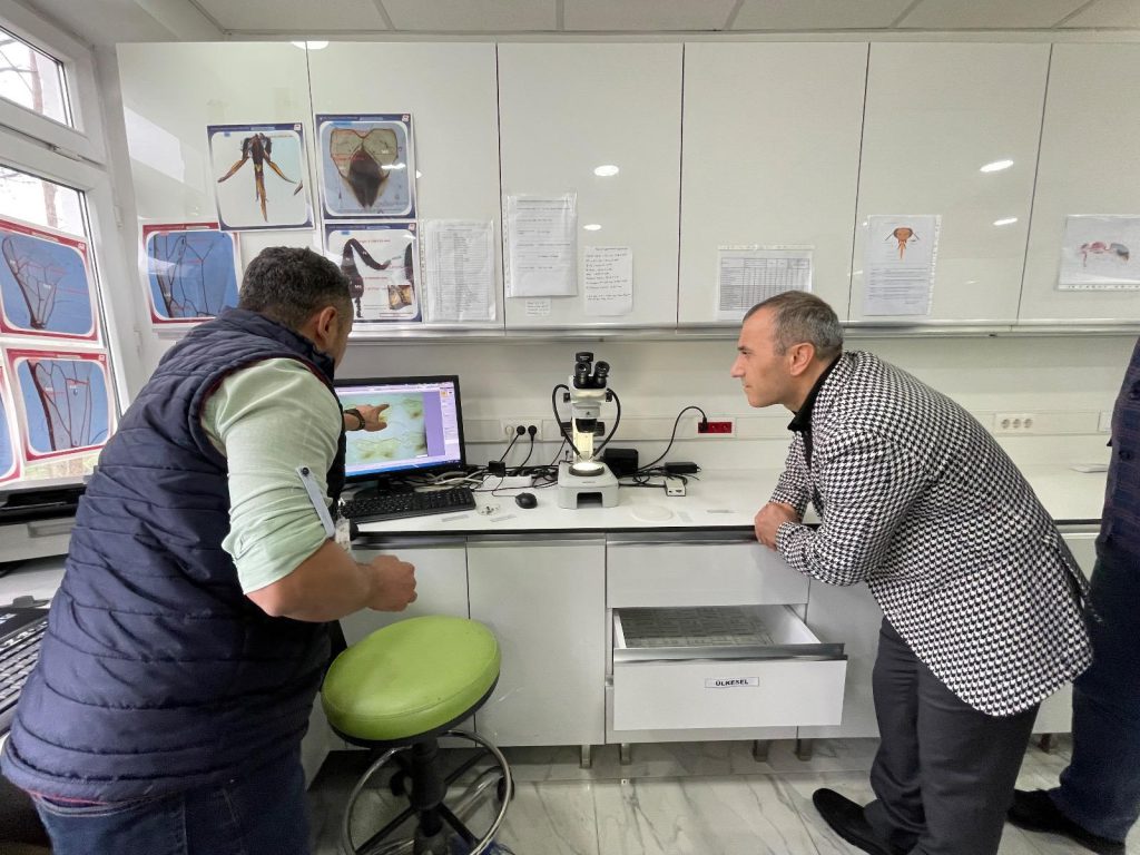 Bombus Arısı İle Seralarda Verim Artıyor V 1