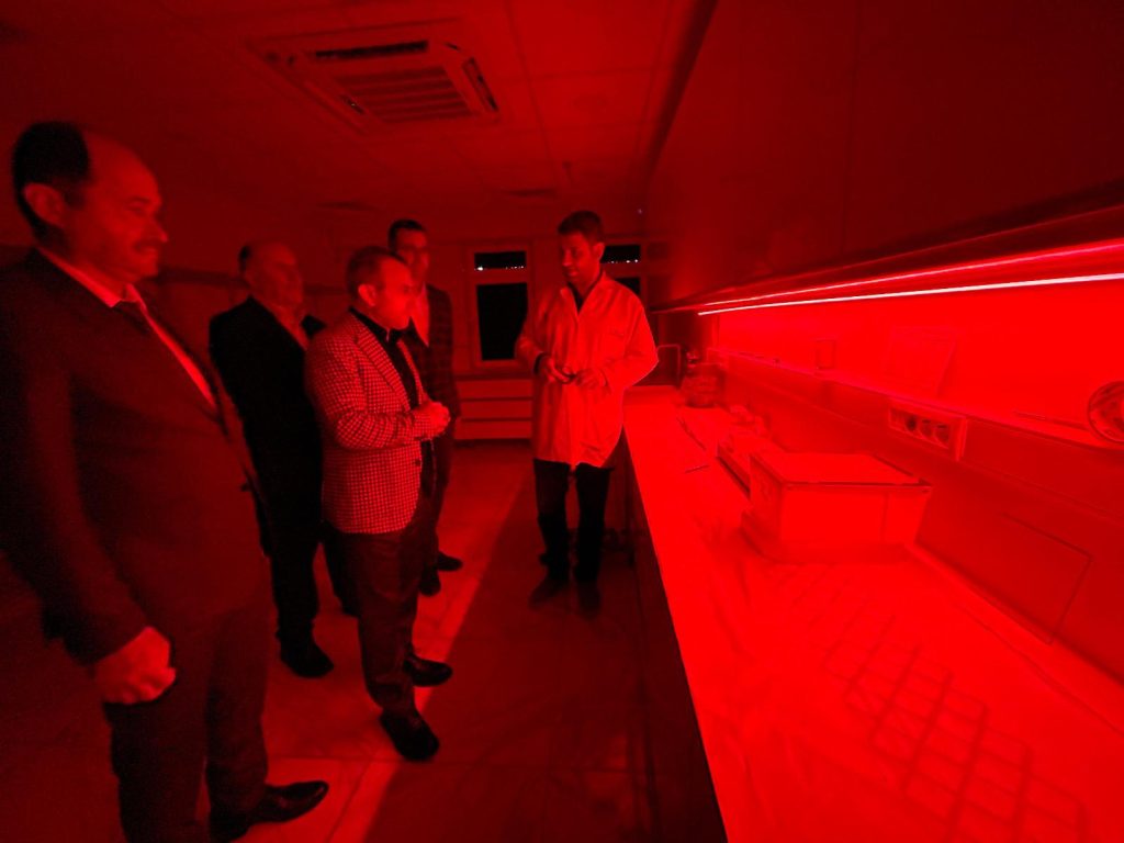Bombus Arısı İle Seralarda Verim Artıyor V1