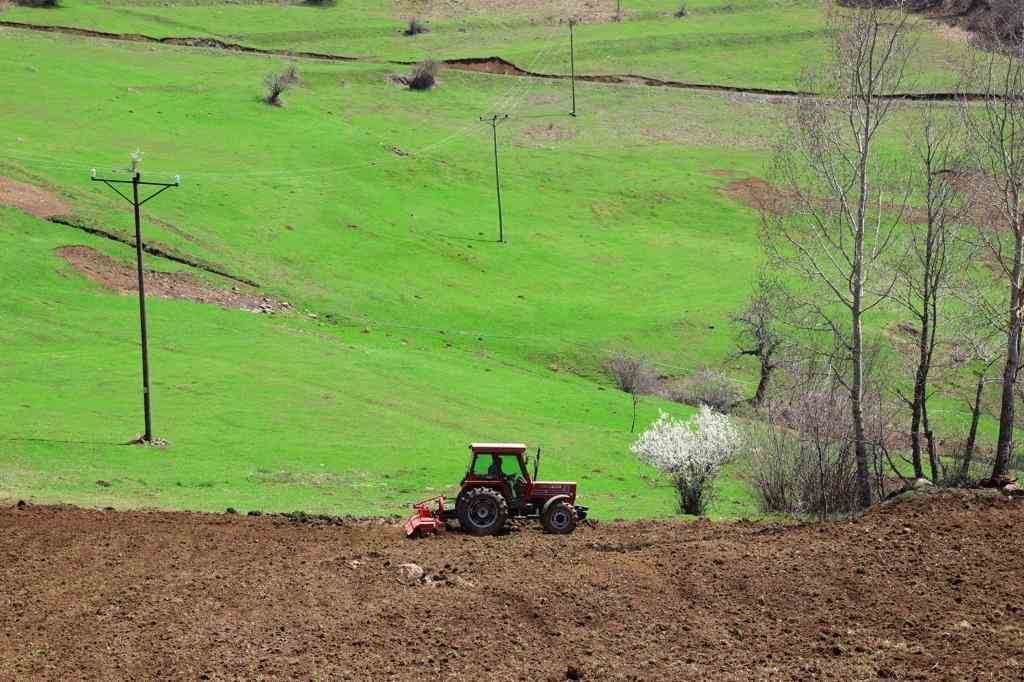 ORDU’DA ATIL ARAZİLER TARIMLA BULUŞUYOR a 1