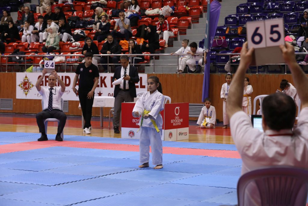 KARATE STİL ŞAMPİYONASI BAŞLADI k 1