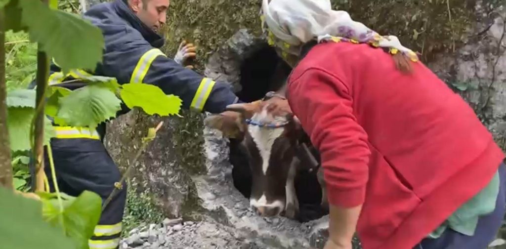 İTFAİYENİN İNEK KURTARMA OPERASYONU i2
