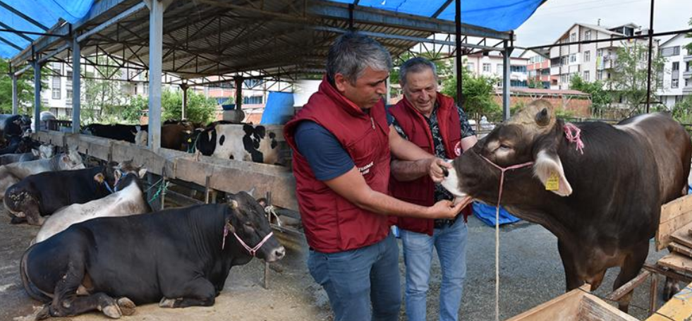 KURBAN BAYRAMI BOYUNCA KURBANLIKLAR DENETLENECEK kurban den