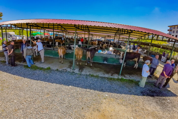 ÜNYE HAYVAN PAZARI, YENİLENEN YÜZÜYLE TAKDİR TOPLUYOR u3 1