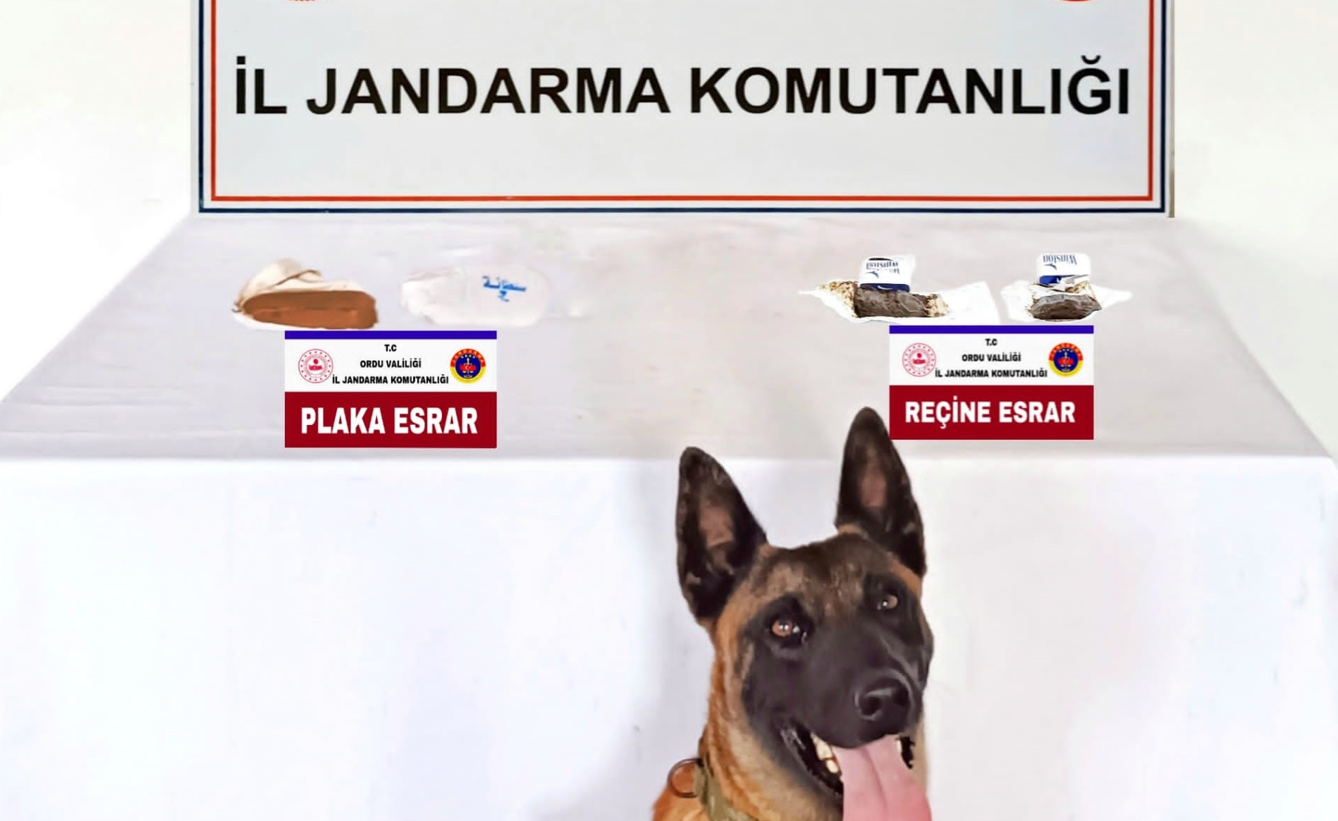 Ordu İl Jandarma Komutanlığınca uyuşturucu ile mücadele kapsamında yapılan istihbari