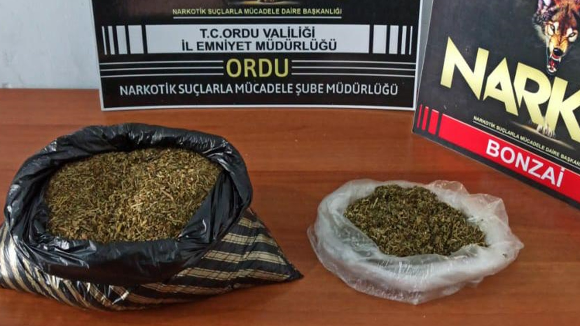 ÜNYE'DE YOLCU OTOBÜSÜNDE BONZAİ YAKALANDI
