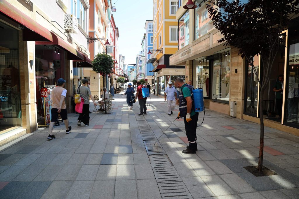 EV VE İŞ YERLERİNDE SALGIN HASTALIK ÖNLEMİ ev1
