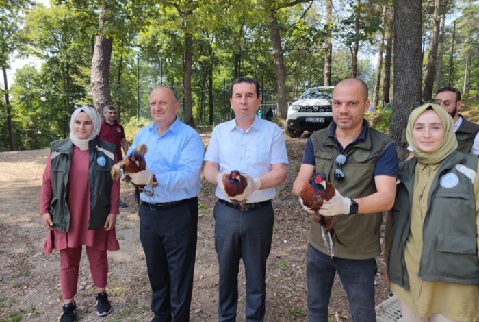 ÜNYE’DE KENE AVCISI SÜLÜNLER DOĞAYA SALINDI s 2