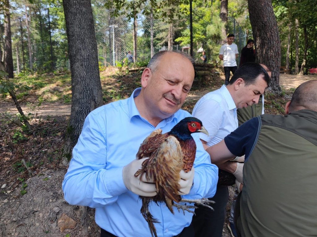 ÜNYE’DE KENE AVCISI SÜLÜNLER DOĞAYA SALINDI s1 3