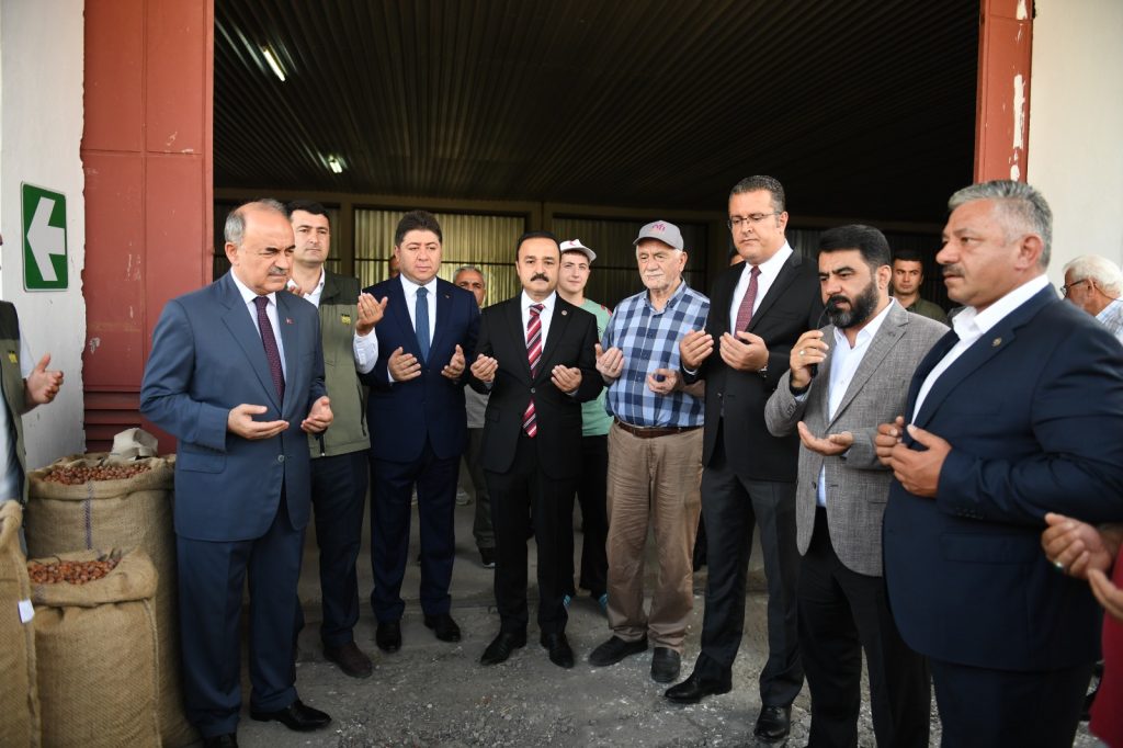 TMO Fındık Alımına Başladı f1 2