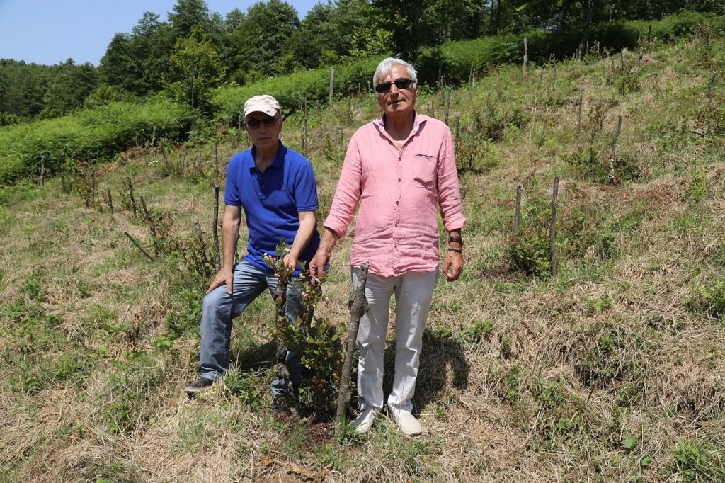 ORDU’DAKİ MAVİ YEMİŞ ALANLARI BÜYÜYOR m2
