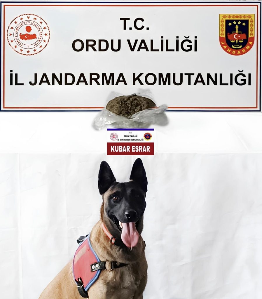Ünye’de Düzenlenen Operasyonda 1 Şüpheli Gözaltına Alındı SU