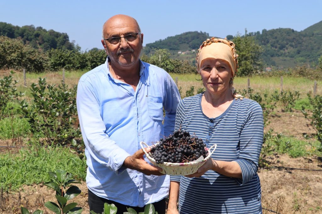 ORDU’DA ARONYA ÜRETİMİ YAYGINLAŞIYOR o1 2