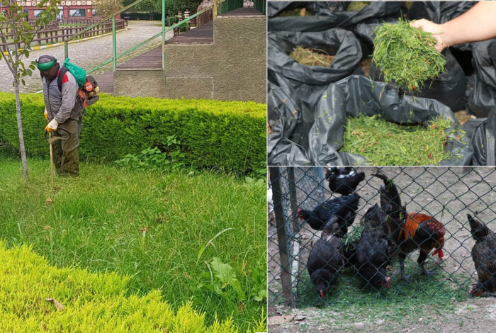 Ünye Belediyesi park ve sosyal alanların temizliğini düzenli olarak gerçekleştirirken,