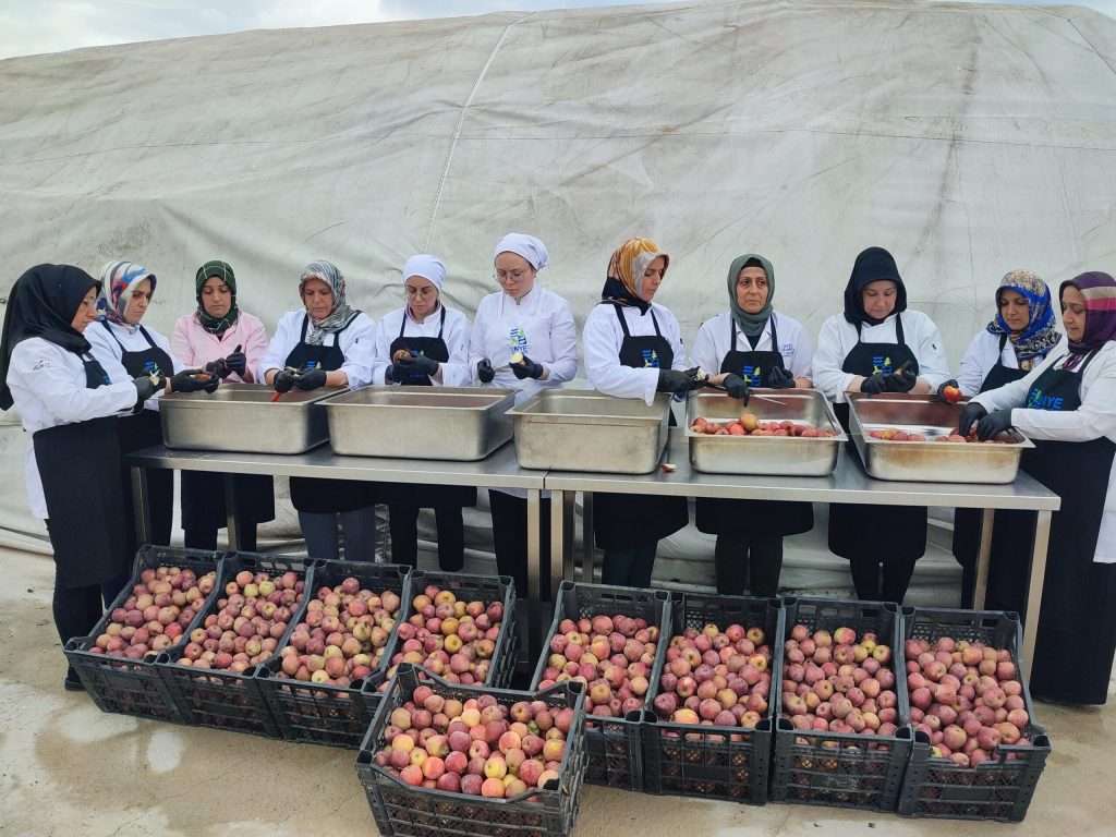 YÖRESELDEN ULUSALA, İSTİHDAMDAN MARKALAŞMAYA… YORESELDEN ULUSALA ISTIHDAMDAN MARKALASMAYA… 15 scaled 1