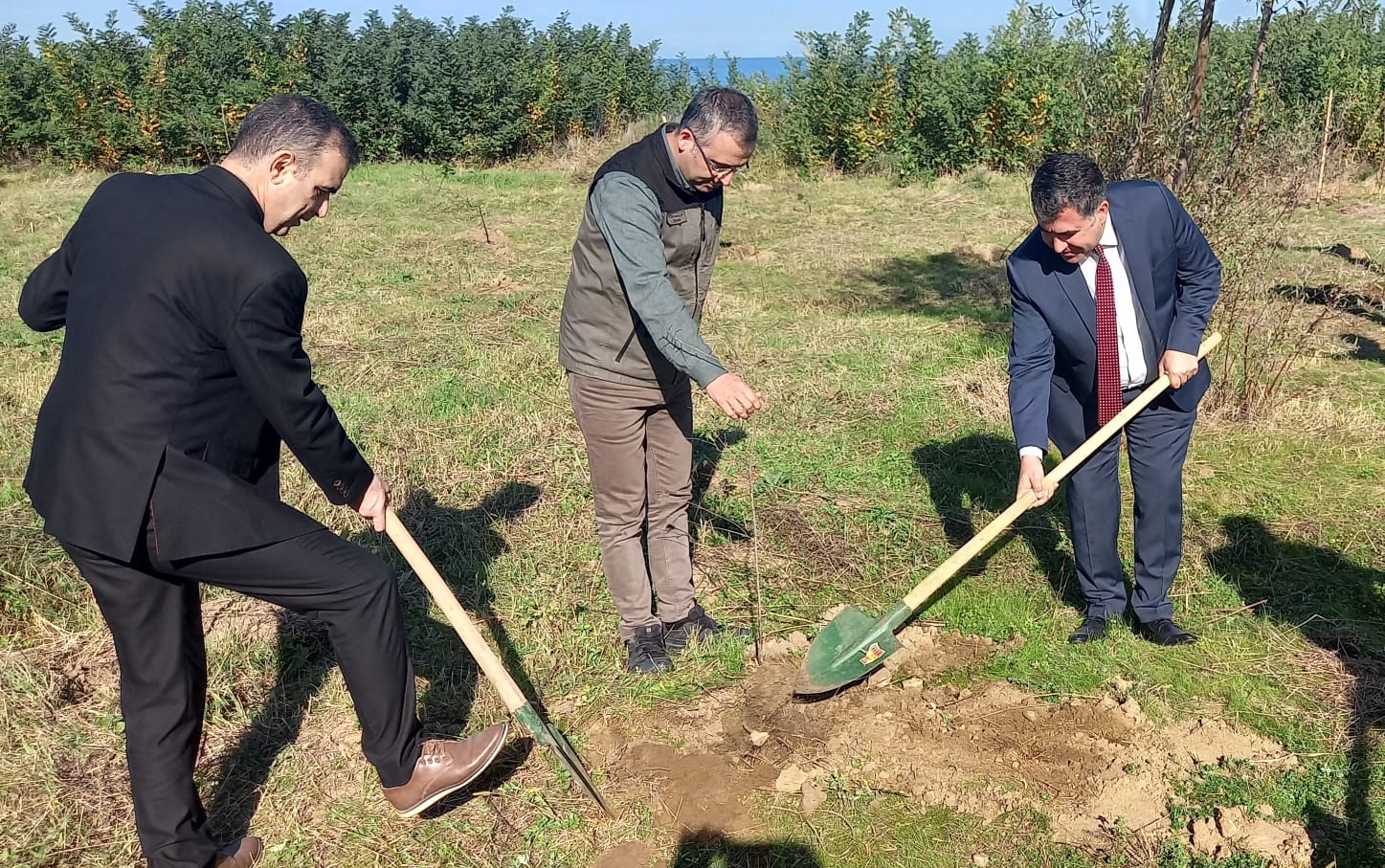Ünye Denetimli Serbestlik Müdürlüğü Türkiye Cumhuriyeti’nin 100.yılında 100 fidan dikimi