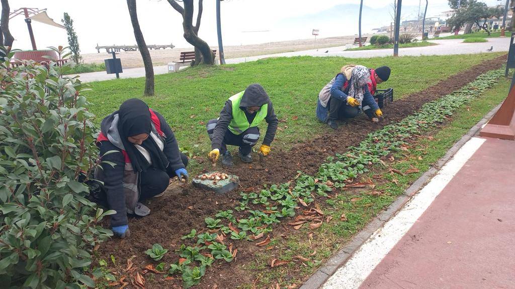 MEVSİMLİK ÇİÇEKLER TOPRAKLA BULUŞUYOR Kenti kış mevsimine dayanıklı&nbsp;çiçeklerle&nbsp;donatarak estetik bir