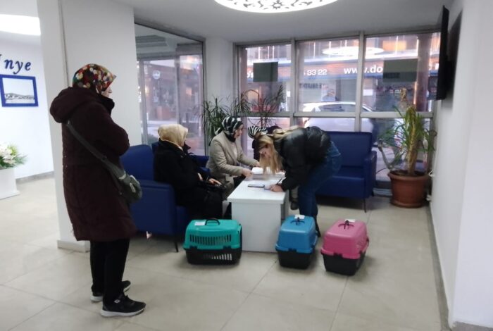 ÜNYE BELEDİYESİ’NDEN SOKAK KEDİLERİNE KISIRLAŞTIRMA DESTEĞİ a2 3
