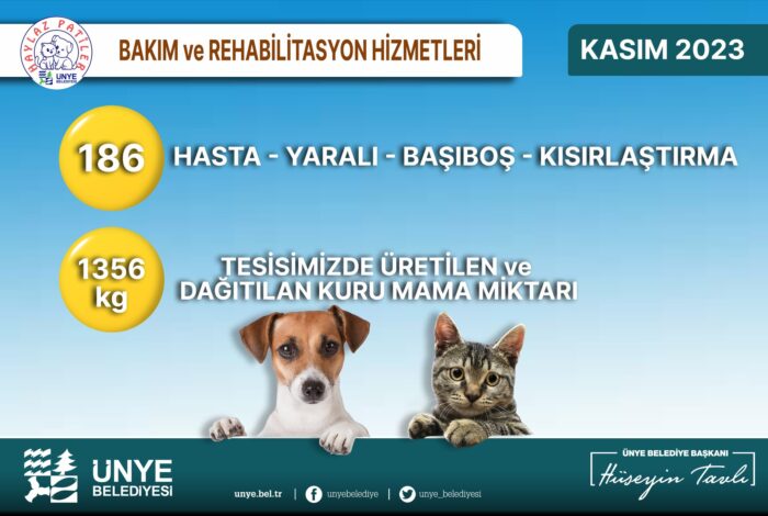 ÜNYE BELEDİYESİ’NDEN SOKAK HAYVANLARINA MAMA DESTEĞİ s2
