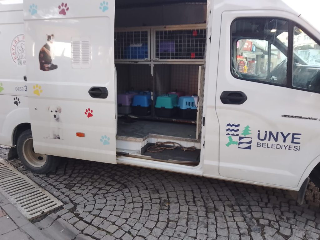 ÜNYE BELEDİYESİ’NDEN SOKAK KEDİLERİNE KISIRLAŞTIRMA DESTEĞİ s3 3