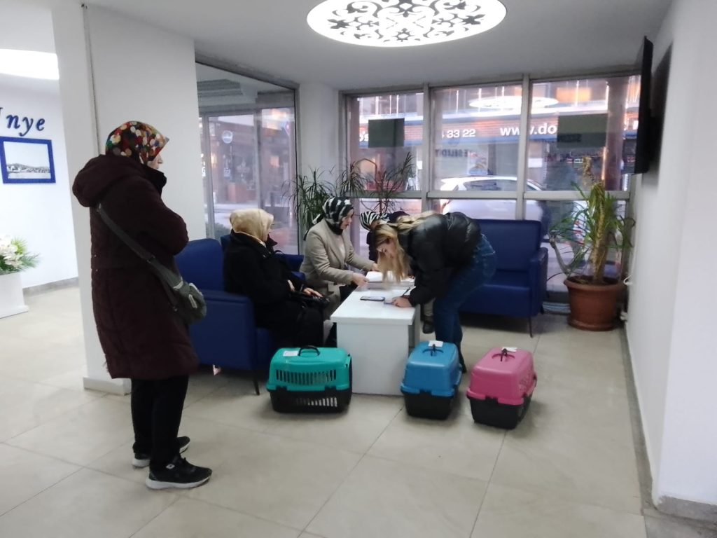 ÜNYE BELEDİYESİ’NDEN SOKAK KEDİLERİNE KISIRLAŞTIRMA DESTEĞİ s5 2