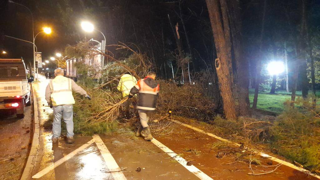 BÜYÜKŞEHİR GECE BOYU TEYAKKUZDAYDI ORDU’DA ŞİDDETLİ FIRTINA ETKİLİ OLDU Ordu’da