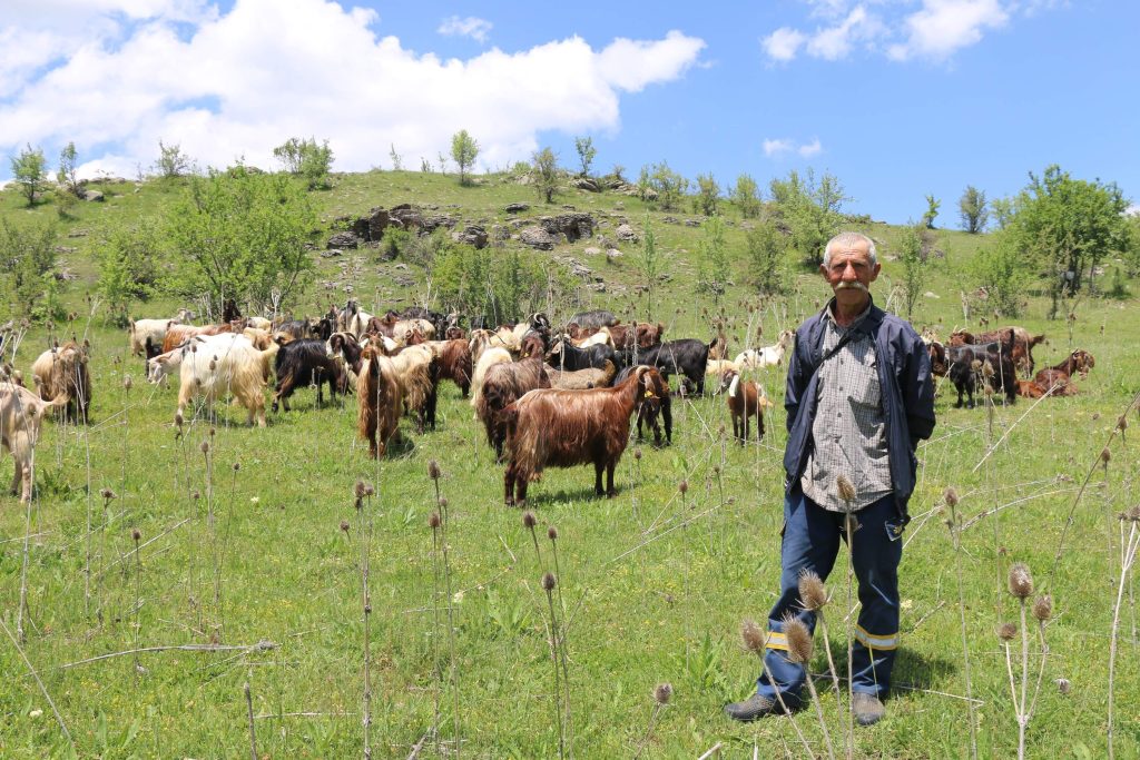 ORDU’DA TARIM VE HAYVANCILIKTA REFORM ta2 1