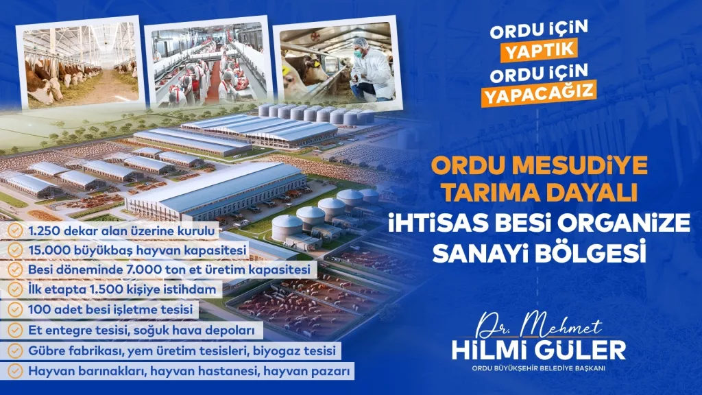 KARADENİZ’İN VE ORDU’NUN KADERİNİ DEĞİŞTİRECEK MEGA PROJE 1 9
