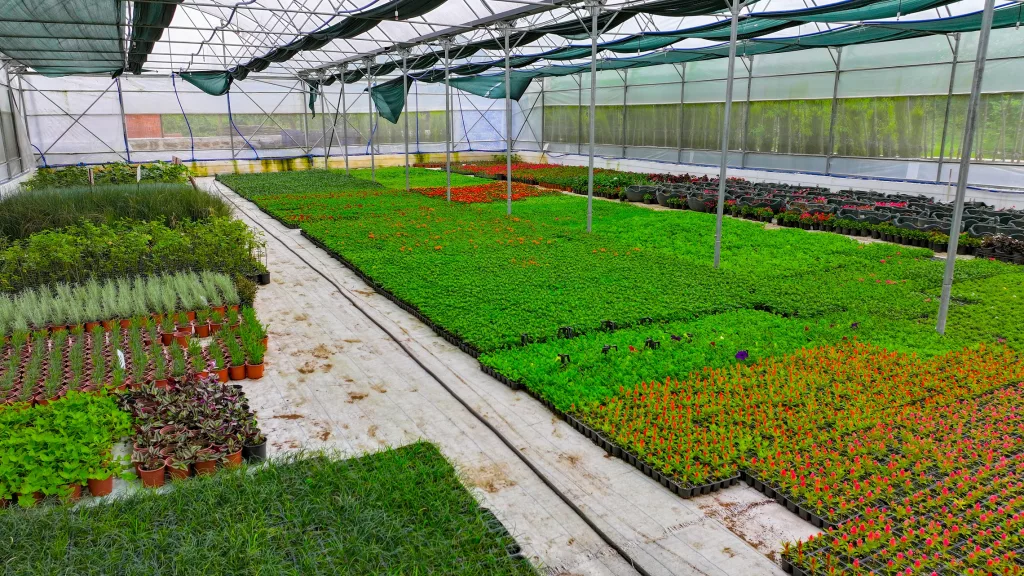 SERA PROJESİ İLE YÜZDE 50’YE VARAN MALİYET AVANTAJ SAĞLANDI 24 2