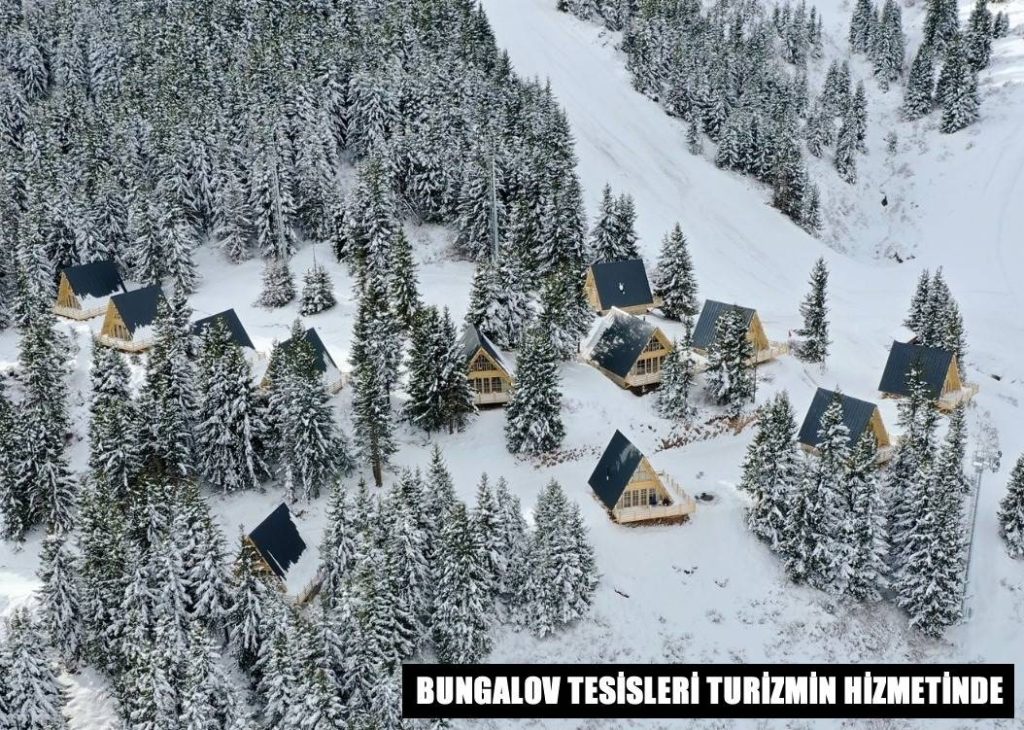 ÇAMBAŞI YAYLASI YENİDEN DOĞDU C1 1