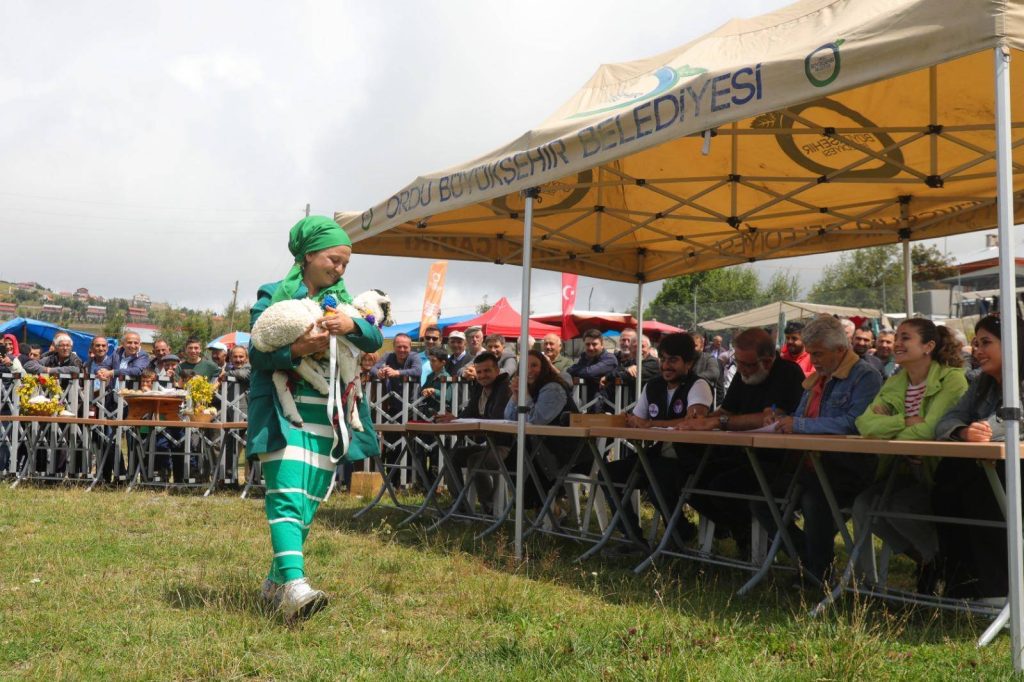ÇAMBAŞI YAYLASINDA RENKLİ FESTİVAL C2 2