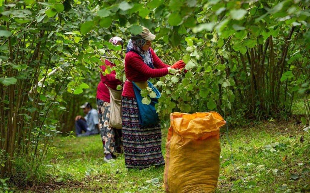 ORDU’NUN PARASI ORDU’DA KALIYOR O