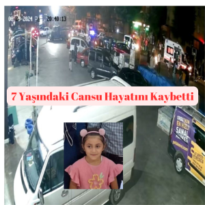 Ordu’nun Altınordu ilçesi Şahincili Mahallesi’nde dün akşam saatlerinde meydana gelen