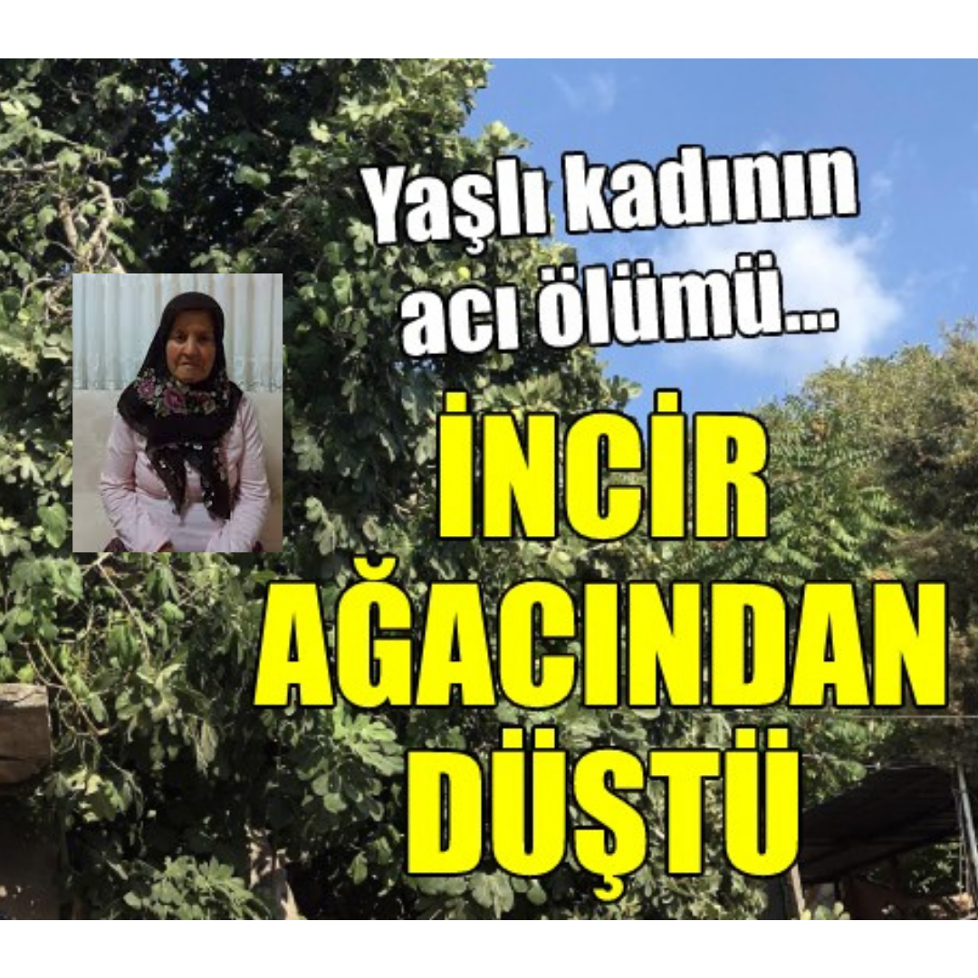 Ordu’nun Altınordu ilçesine bağlı Akyazı Mahallesi’nde dün akşam saatlerinde meydana