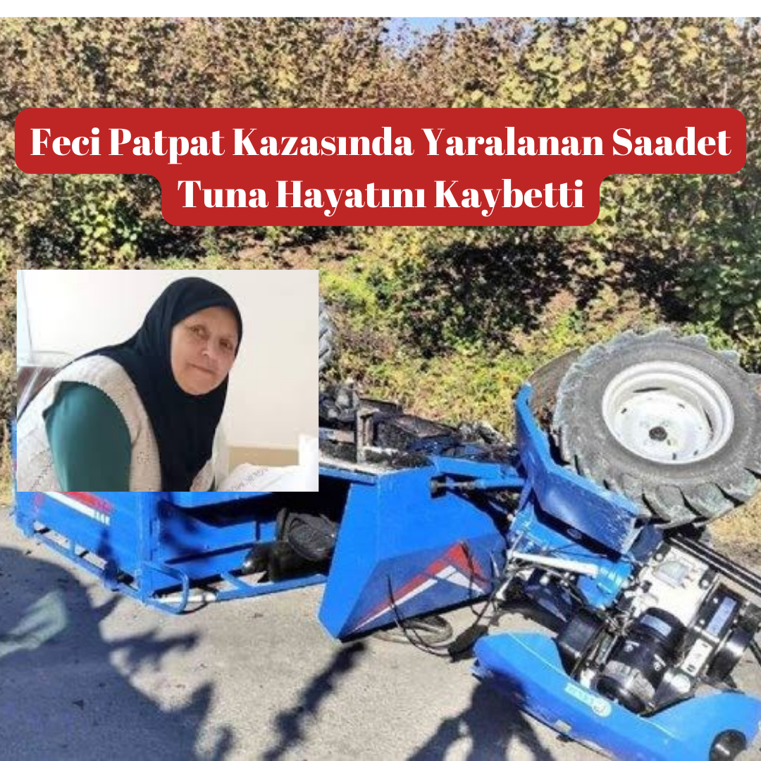 Aybastı – Gölköy yolu üzerinde, Sefalık Mahallesi’nde geçtiğimiz günlerde meydana