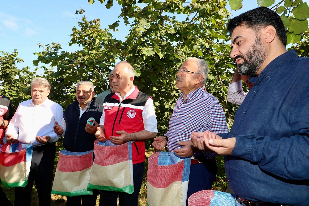 Vali Erol, Fındık Hasat Programına Katıldı V