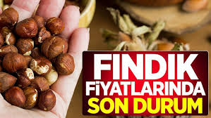 Fındık alım fiyatı belirlendi WhatsApp Image 2024 08 02 at 16.20.10