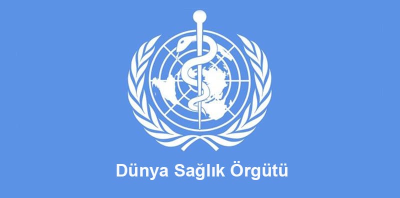 DSÖ, M Çiçeği Virüsünü Uluslararası Acil Durum Olarak İlan Etti