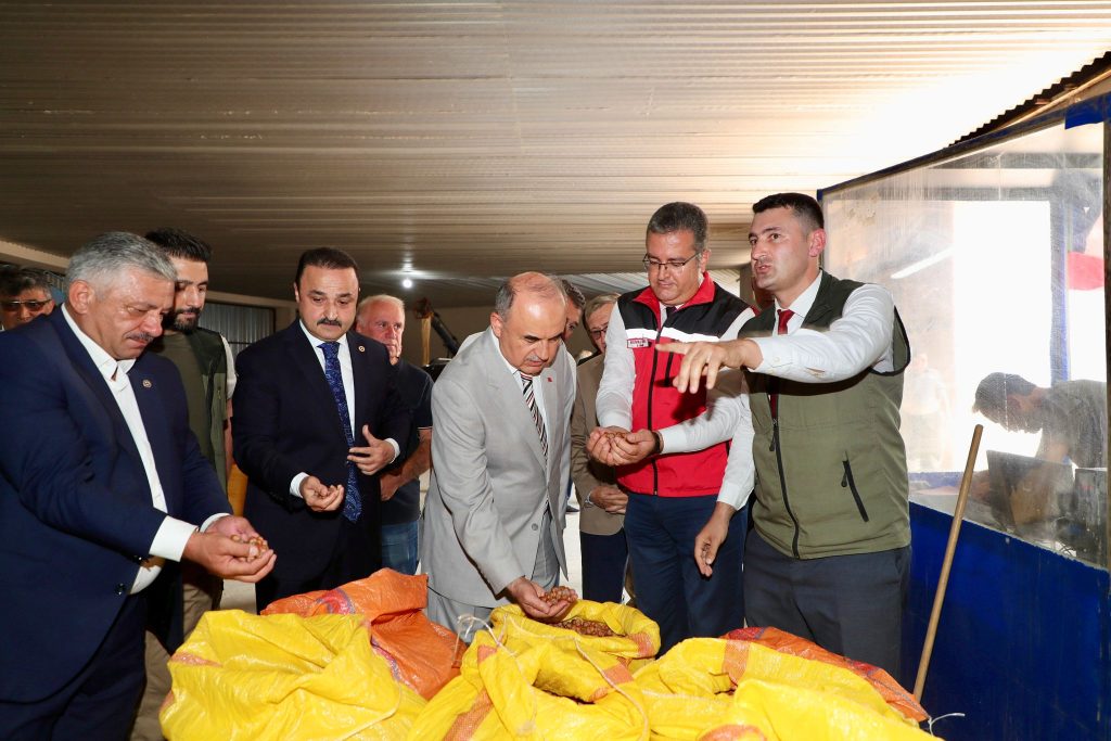 Ordu’da TMO Fındık Alımlarına Başladı: Üreticinin Gözü Yeni Sezonda t2