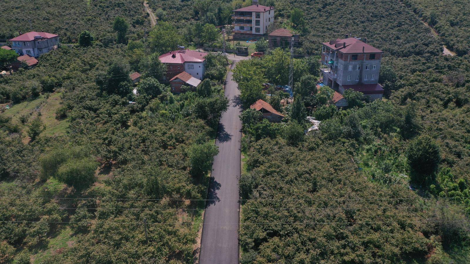 BÜYÜKŞEHİR ASFALTTA HIZ KESMİYOR ÜNYE İLÇESİ GÜZELYALI MAHALLESİ SICAK ASFALTA