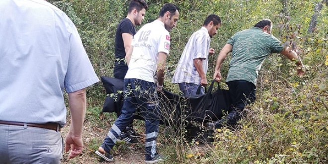 Akkuş’ta Ağaçtan Düşen Kadın Hayatını Kaybetti CEV