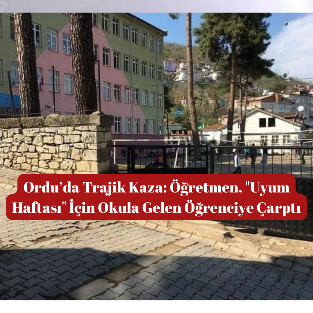 Ordu’da Trajik Kaza: Öğretmen, "Uyum Haftası" İçin Okula Gelen Öğrenciye Çarptı Yildirim Dusmesi Sonucu Iki Inek Telef Oldu 1