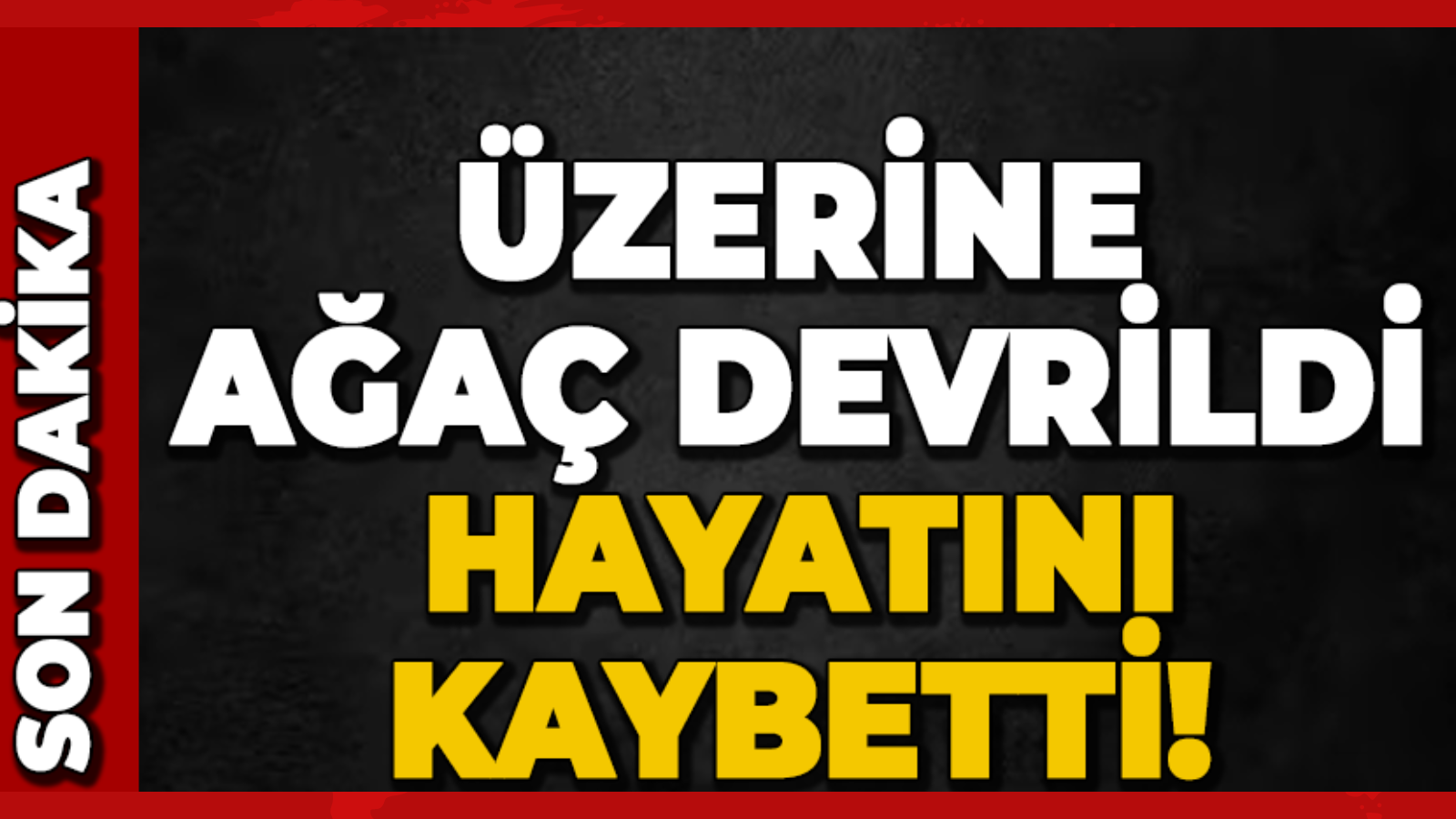 Edinilen bilgiye göre,  Aybastı’nın Alacalar Mahallesi Sekağal mevkinde evinin üst