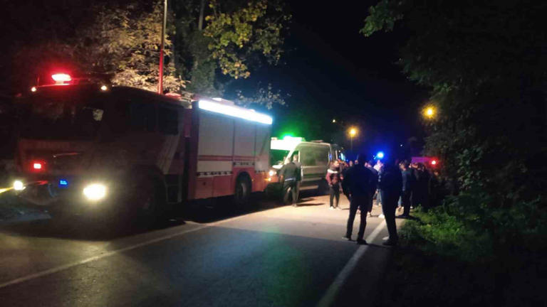 Kumru-Fatsa Yolunda Tomruk Yüklü Araç Kazası WhatsApp Image 2024 10 09 at 15.38.45