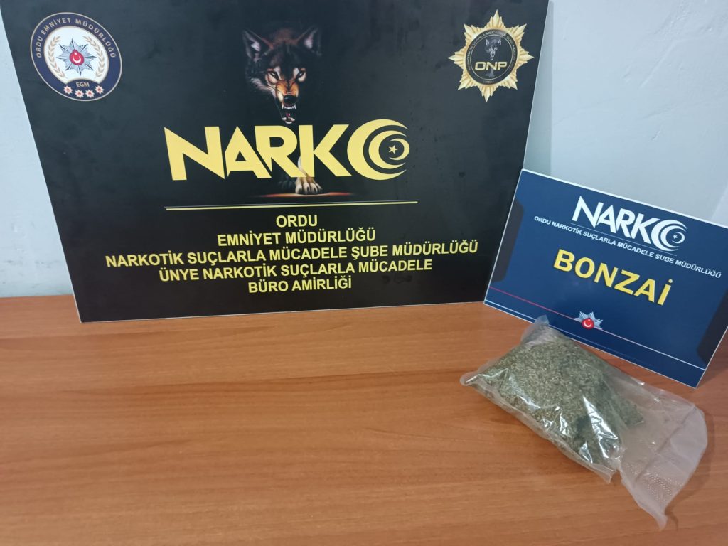 Narkotik'ten uyuşturucu operasyonu nar