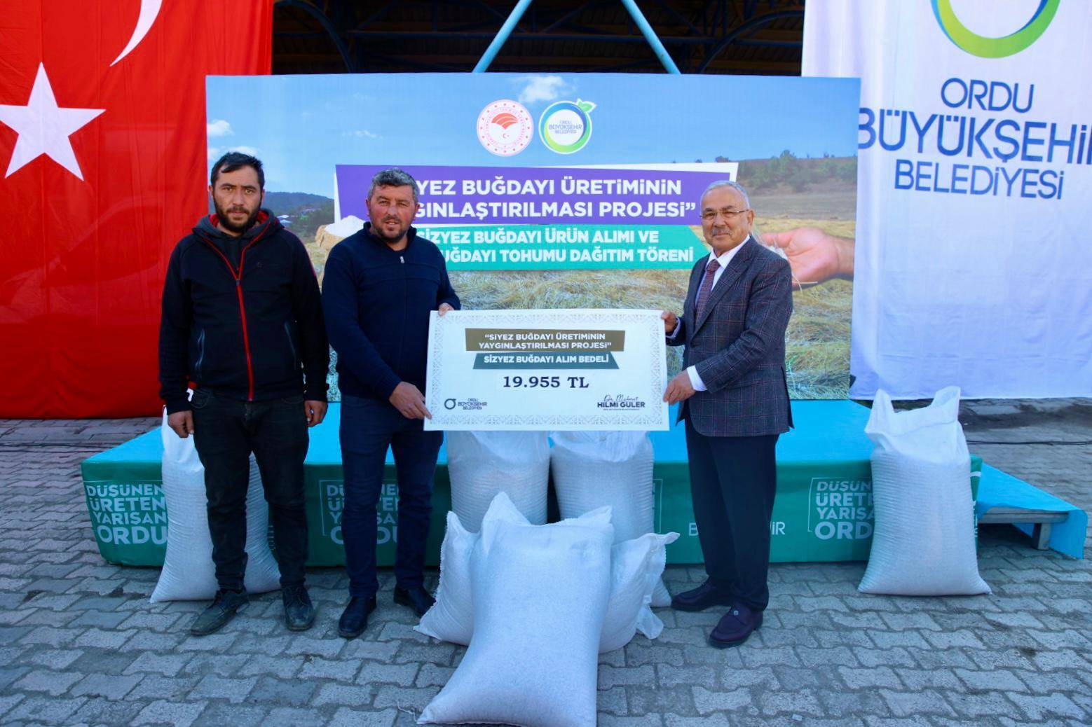 BÜYÜKŞEHİRİN SİYEZ BUĞDAYI ALIMLARI BAŞLADI&nbsp; MESUDİYE’DE SİYEZ BUĞDAYI ÜRETEN ÇİFTÇİLERDEN