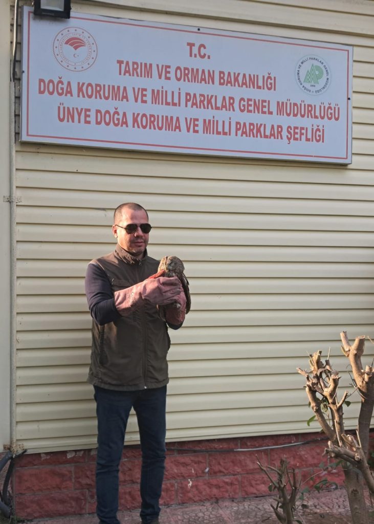 ALACA BAYKUŞ EMİN ELLERDE RESIM 4