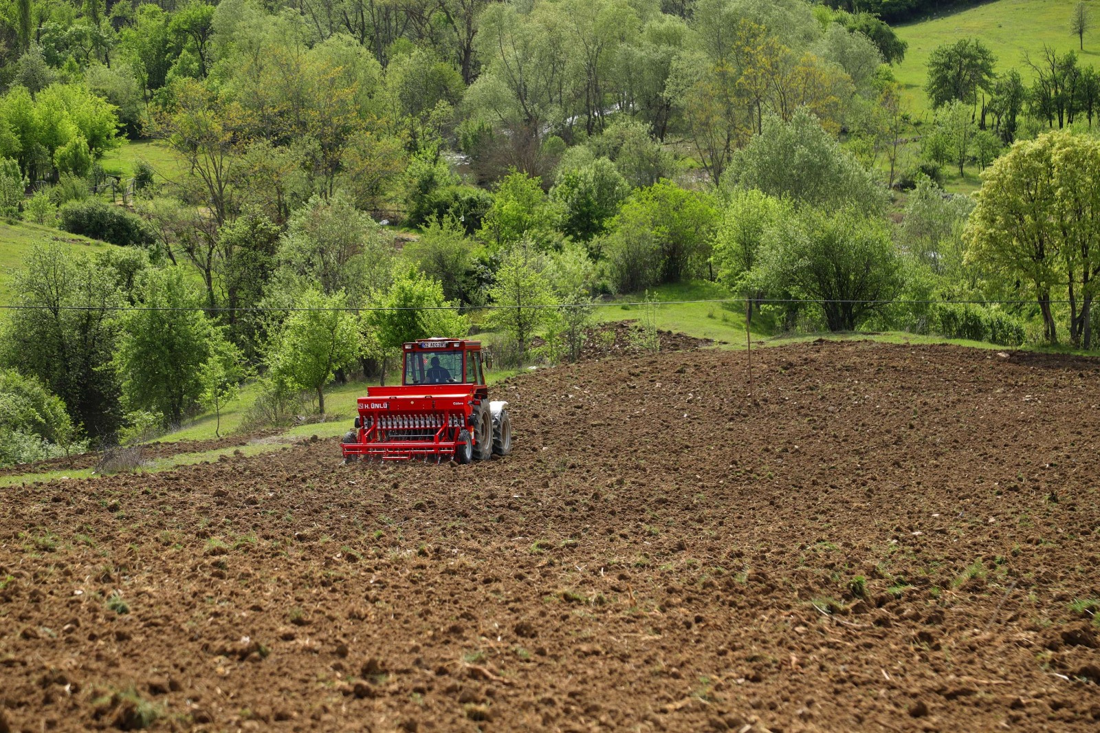 BOŞ DURUYORDU ŞİMDİ BEREKET FIŞKIRIYOR ORDU’DA 31 BİN 350 DEKAR