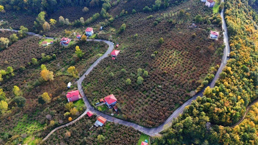 ALTINORDU ŞENKÖY’DE ASFALT SEVİNCİ al