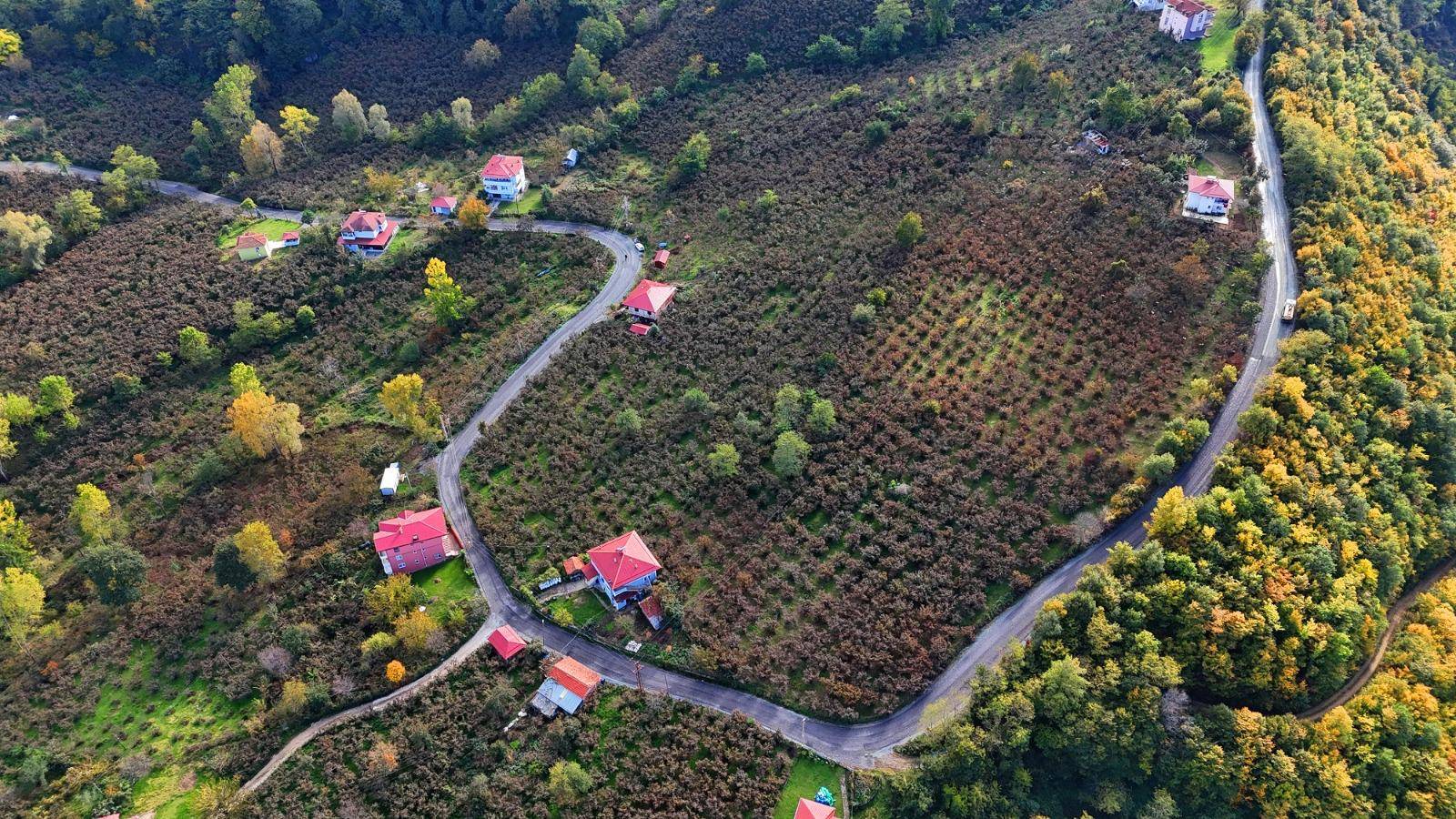 ALTINORDU ŞENKÖY’DE ASFALT SEVİNCİ Ulaşım seferberliğini sürdürerek yolları standardı yüksek