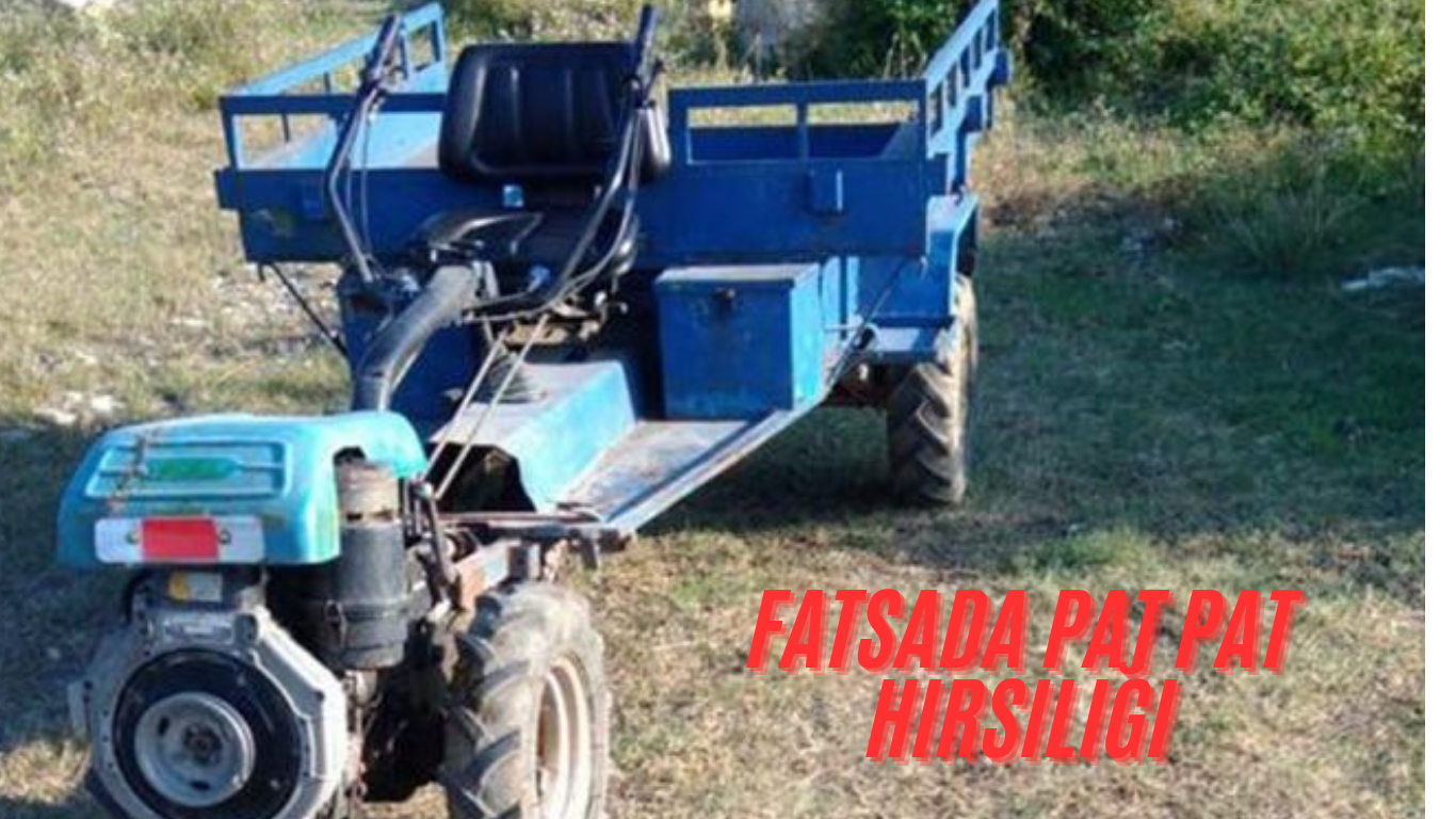 Ordu’nun Fatsa ilçesi Sakarya Mahallesi’nde meydana gelen hırsızlık olayı, hem